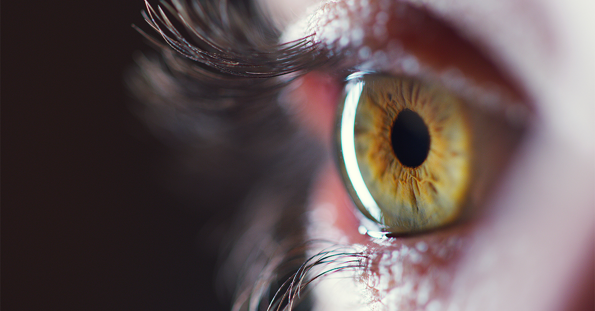 Extreme close-up of an eye